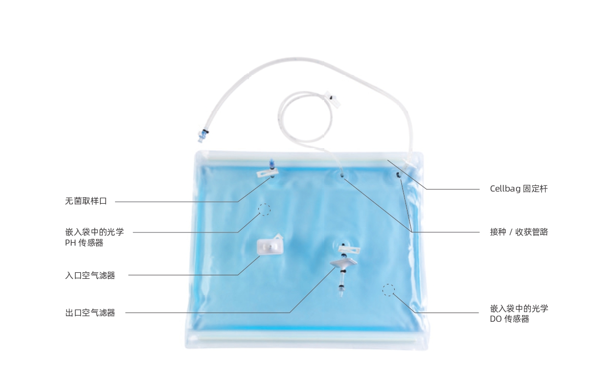 singel-use bag_page-0001.jpg